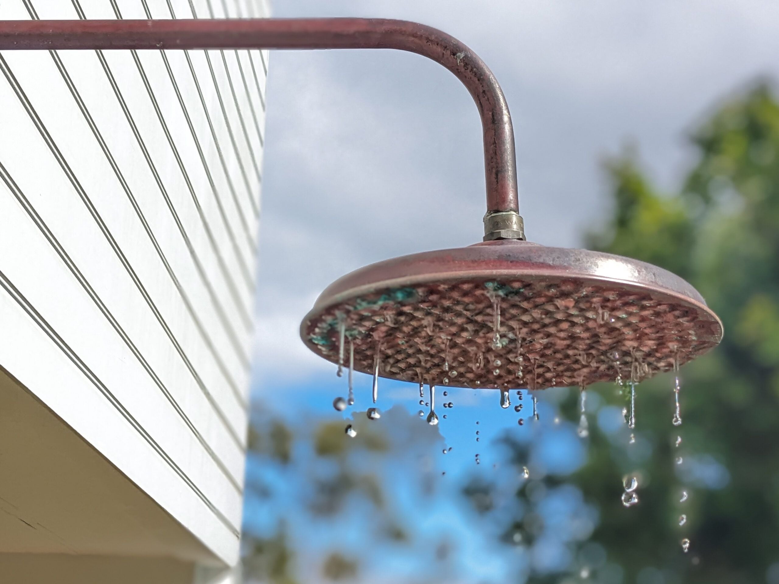 Copper Shower Head